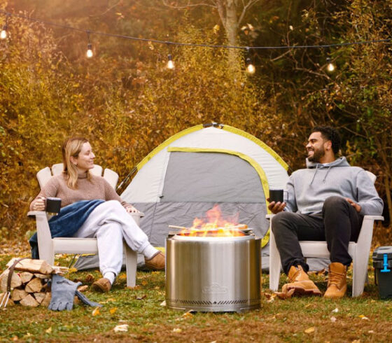 22" Stainless Steel Timberwolf® Smokeless Fire Pit